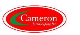 Cameron Logo